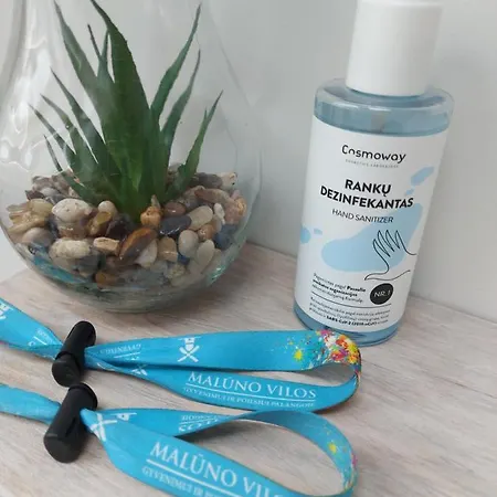 Super Mini Loft With Outdoor Pool. Palanga